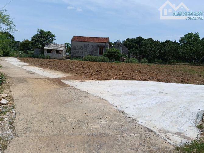 Bán 480m đất Thành Minh, Thạch Thành giá 800 triệu đã tách làm 4 sổ. - 1