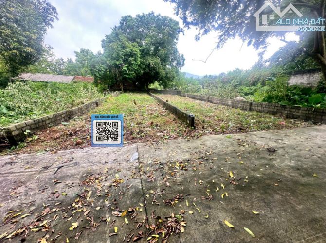 Bán đất thổ cư thôn Đông Nam – Vị trí đẹp, Giá rẻ – S=97,5m² - 1