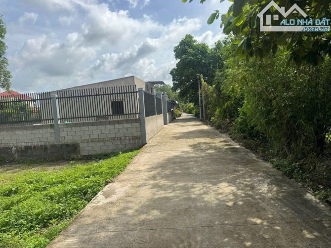 BÁN ĐẤT ĐẸP – ĐƯỜNG HOÀNG BÁ HUÂN, HUYỆN CỦ CHI – GIÁ CHỈ 650 TRIỆU - 1