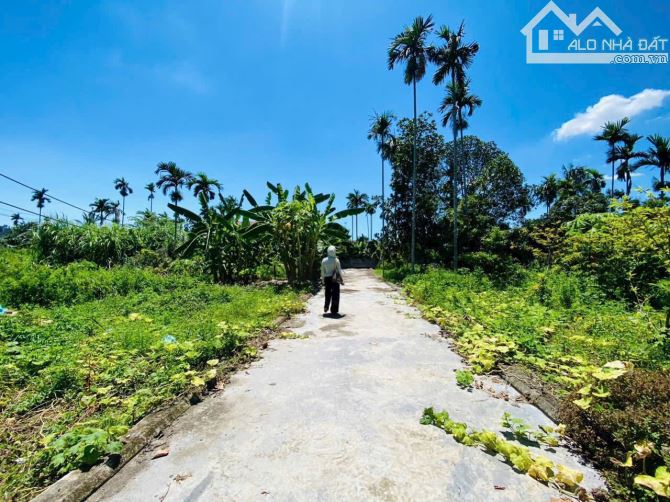 Bán đất Lâm Động- Thuỷ Nguyên ngay mặt 203 vào chút ô tô tận đất 60m giá chỉ 1,3x tỷ - 1