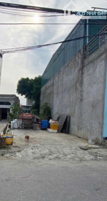 Chính chủ gửi bán lô góc mặt đường Nam Hải  Hải An - 1
