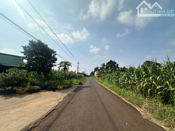 5,6 x 36m ĐẤT THỔ CƯ THÔN 3 CƯSUE GIÁ RẺ NHẤT KHU VỰC. CHỈ HƠN 300tr - 1