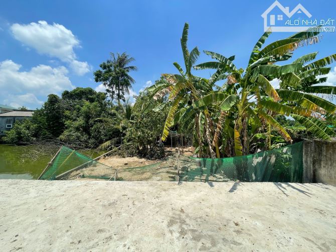Đất Hưng Hòa sát Dự án Ecopark giá chỉ hơn 1 tỷ - 1