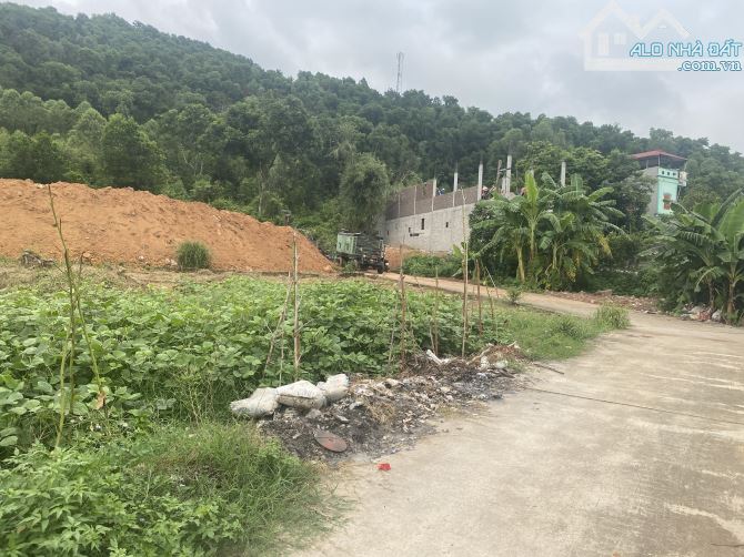 Chủ gửi bán lô thổ cư Tự Thôn đường ô tô quay đầu thoải mái - 1