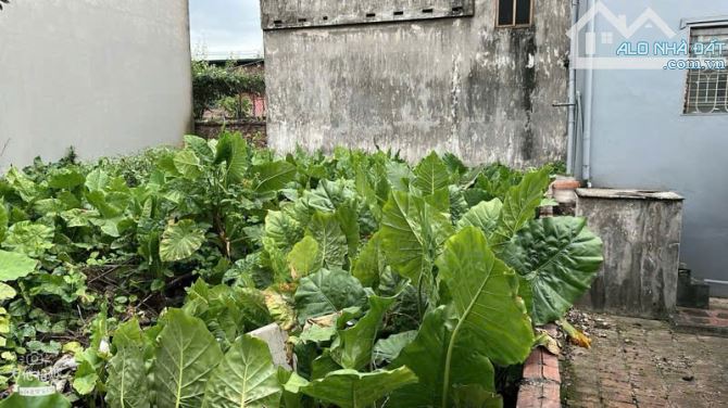 BÁN ĐẤT MAI LÂM ĐÔNG ANH 54m2 *MT4,2m NHỈNH 5 TỶ (TL)-NGÕ NÔNG-GẦN Ô TÔ TRÁNH - 1