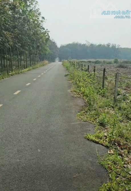 BÁN ĐẤT SKK TRONG KCN ĐỒNG NAI - 1