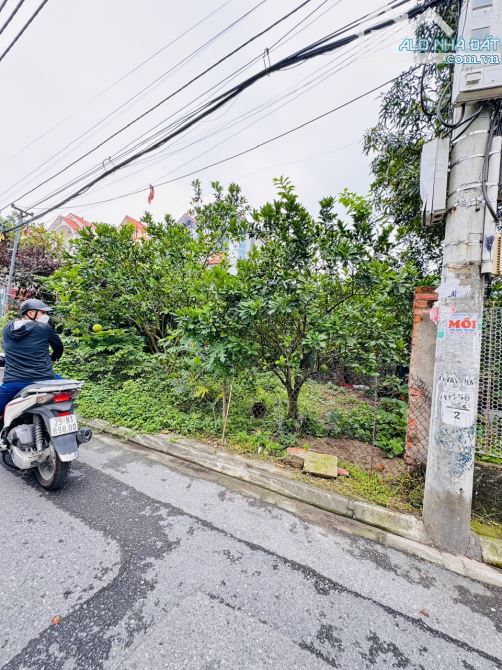 🌟 BÁN LÔ ĐẤT TRỤC CHÍNH GIAO TẤT, PHÚ SƠN – GIÁ CỰC TỐT! 🌟 64M CHỈ 4,15 TỶ - 1