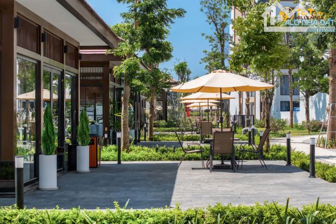 Cập nhật chính sách bán hàng mới nhất từ CĐT dự án T&T City Millennia Long Hậu tháng 8 - 16