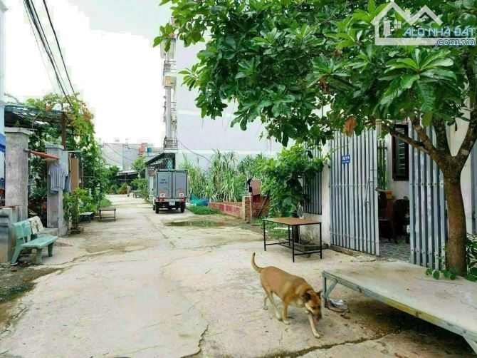 Bán đất sổ hồng riêng tại phường Thới An, Quận 12 cũ diện tích 4x17 mét - 2