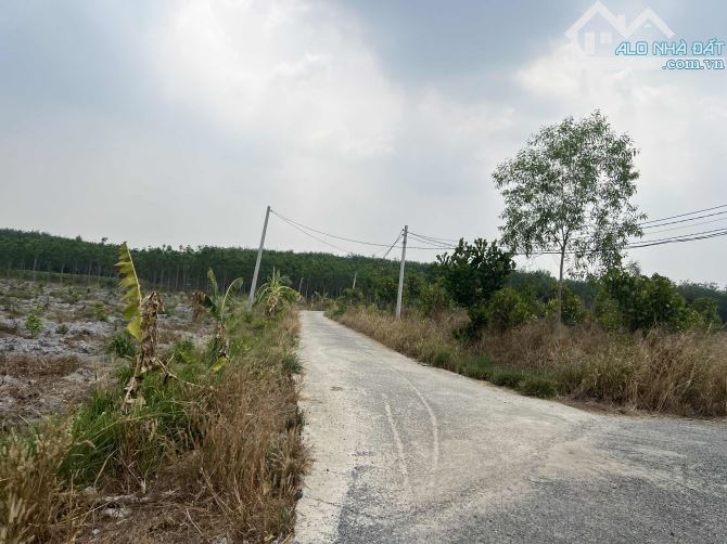 Bán gấp đất 10040m² tại Minh Long, giá 7.35 tỷ, thương lượng nhẹ - 2