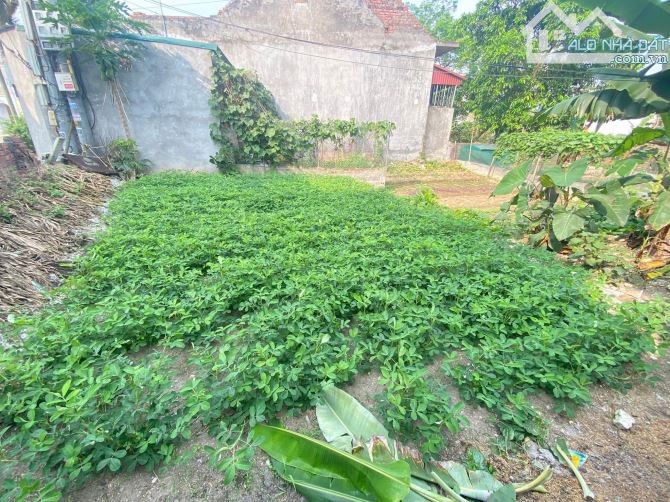 Lô đất ngõ ô tô thông tại Nghĩa Chính Xã Phú Xuân - Tp. Thái Bình. - 2