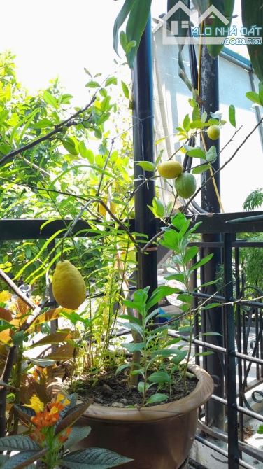 Bán mặt phố KĐT Văn Phú ,chủ quan chức về hưu ,cơ hội mua 2 căn lk. - 2