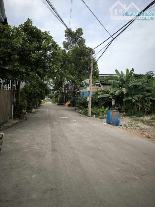 Bửu Hòa đất đẹp đường nhựa 5m SHR Full thổ 80m2 giá chỉ 1.8 tỷ - 2