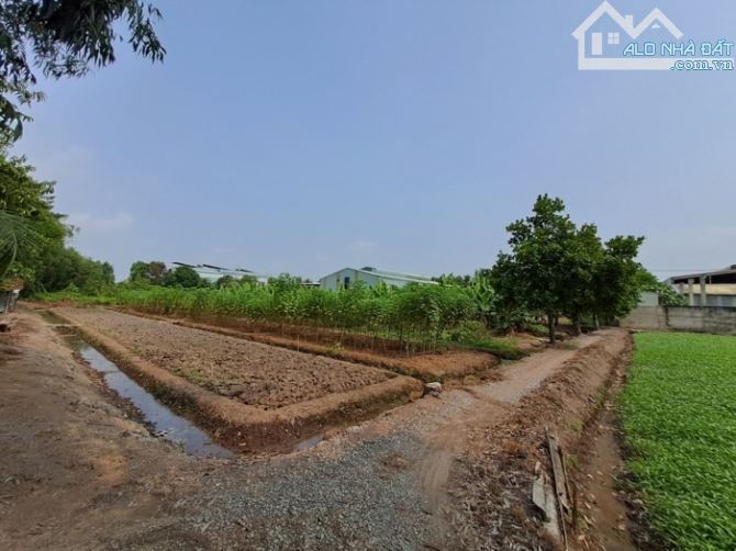 Củ Chi: Bán Gấp 4000m2 Đất Thổ Cư Mặt Tiền Đường 17, SHR, Giá Chỉ 44 Tỷ! - 2