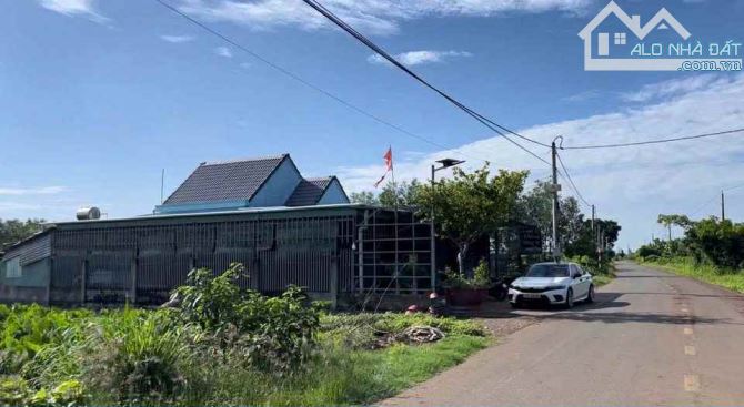 SỞ HỮU 1.000M2 FULL HỒNG NGAY TP.HCM – MẶT TIỀN NHỰA CHỈ 1 TỶ 520🔥 - 2