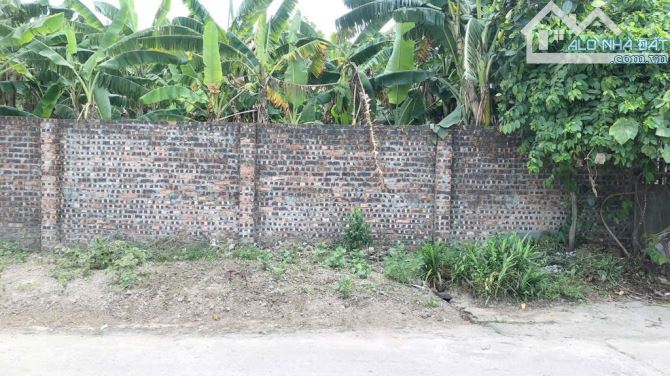 Bán 83m mặt tiền 6m đường thông,ô tô tránh Phúc Thịnh,Hà Nội ngay Võ Nguyên Giáp - 2