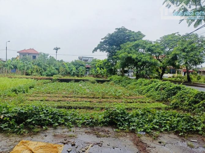 Bán đất Đa Ngư - Tân Trào - Kiến Thụy - Hải Phòng - 2