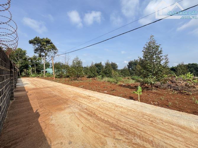 5,6 x 36m ĐẤT THỔ CƯ THÔN 3 CƯSUE GIÁ RẺ NHẤT KHU VỰC. CHỈ HƠN 300tr - 2