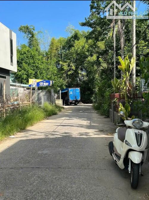 📌📌📌LÀM VIỆC TRỰC TIẾP GIÁ TỐT !!!Chào bán lô hoa phong nam - 2