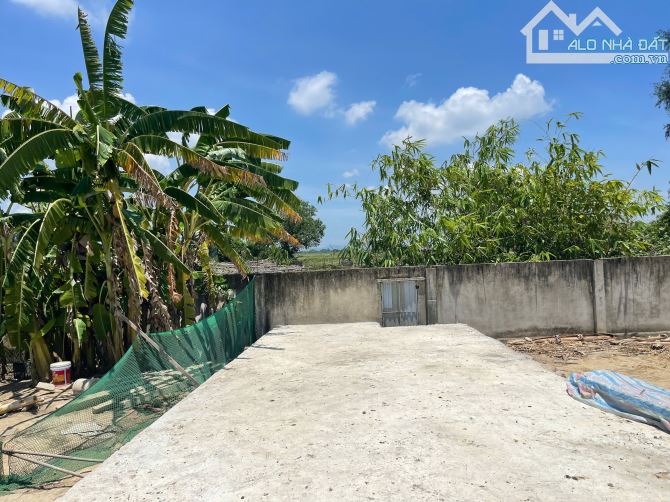 Đất Hưng Hòa sát Dự án Ecopark giá chỉ hơn 1 tỷ - 2