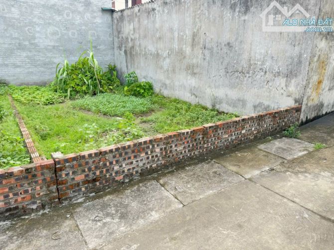 Đất đẹp tổ 5, Quang Minh, Mê Linh, HN. Gần KCN, oto đỗ cửa. DT 65m, giá 3,1 tỷ. - 2