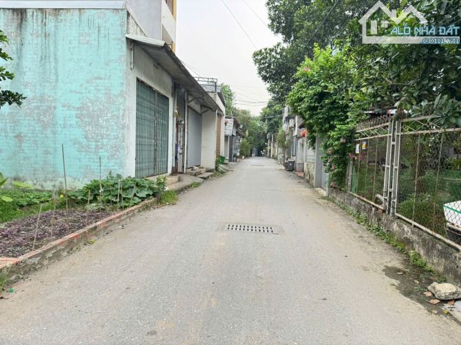 Bán đất thổ cư 86m², hướng Đông Nam, trung tâm Chi Đông, Mê Linh, Hà Nội - 2