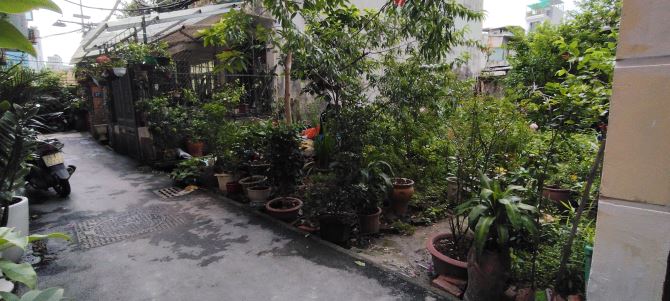 Bán đất Xuân La, Tây Hồ 86m2, Mt 5,5m, 2 thoáng giá 13,5 tỷ. - 2