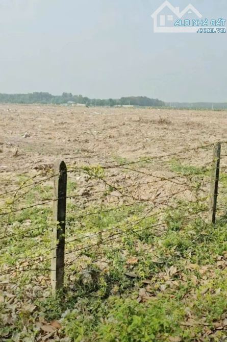 BÁN ĐẤT SKK TRONG KCN ĐỒNG NAI - 2