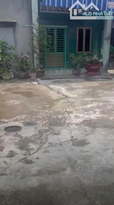 BÁN ĐẤT TẶNG NHÀ CẤP 4 –TẠI ĐỘI VĂN TRẠI CHUỐI THƯỢNG LÝ HỒNG BÀNG - 3