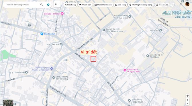 Bán nhà cấp 4 (5.3x12m), hẻm Bùi Thị Xuân p. Tân Bình gần chợ Tân Bình - 3