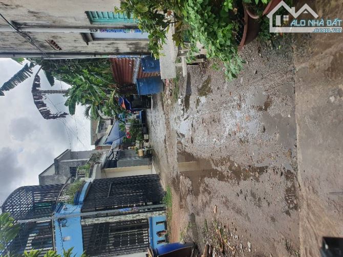 Bán gấp đất tặng 2 căn nhà, Dĩ An Bình Dương, 110m2, 4.4 tỷ - 3