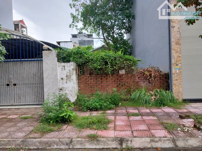 Bán Đất Ngõ 462 Ngọc Thụy, Long Biên, 108m2, MT5m, Phân Lô, Ô Tô, Kinh Doanh - 3