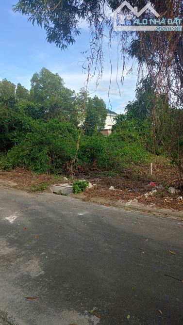Đất villa MT đường nhựa khu dân cư An Phước Cần Giờ - 3