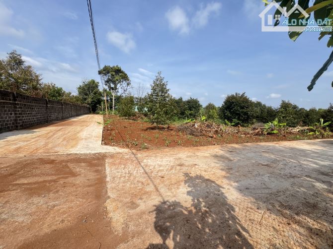 5,6 x 36m ĐẤT THỔ CƯ THÔN 3 CƯSUE GIÁ RẺ NHẤT KHU VỰC. CHỈ HƠN 300tr - 3