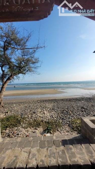 SANG LẠI KHU HOMESTAY CAMPING 8468m2 HÒN RƠM, MŨI NÉ, PHAN THIẾT, LÂM ĐỒNG MỚI. - 3