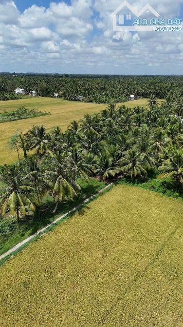 CHÍNH CHỦ CẦN BÁN LÔ ĐẤT TẠI PHƯỜNG LONG ĐỨC - TP. TRÀ VINH - TỈNH TRÀ VINH. - 3