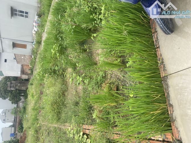 NGỌC TỈNH – SONG LIỄU, THUẬN THÀNH – 79.8m² – MẶT TIỀN 5.8m – GIÁ CHỈ  thương lương   👉Lô - 3