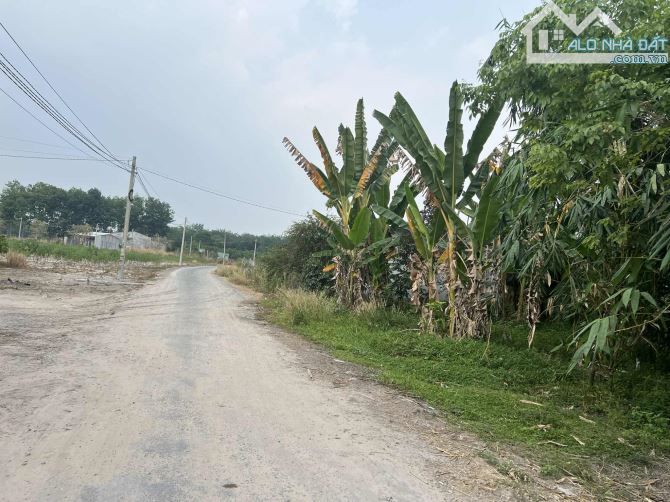 Bán gấp đất 10040m² tại Minh Long, giá 7.35 tỷ, thương lượng nhẹ - 4