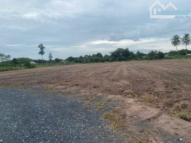 CHÍNH CHỦ CẦN BÁN lô đất mặt tiền Tỉnh lộ 8 Củ Chi. - 4