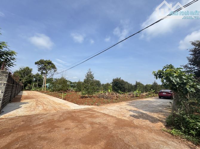5,6 x 36m ĐẤT THỔ CƯ THÔN 3 CƯSUE GIÁ RẺ NHẤT KHU VỰC. CHỈ HƠN 300tr - 4