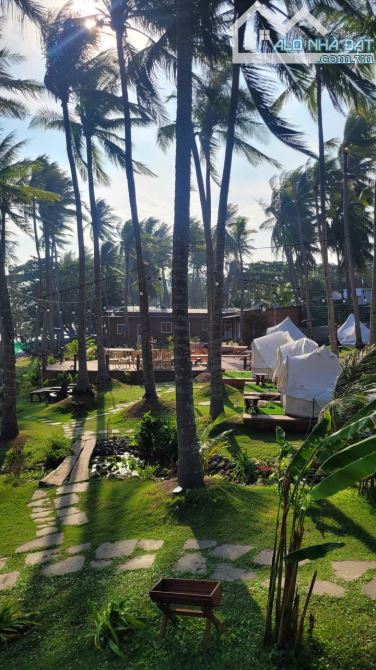 SANG LẠI KHU HOMESTAY CAMPING 8468m2 HÒN RƠM, MŨI NÉ, PHAN THIẾT, LÂM ĐỒNG MỚI. - 4