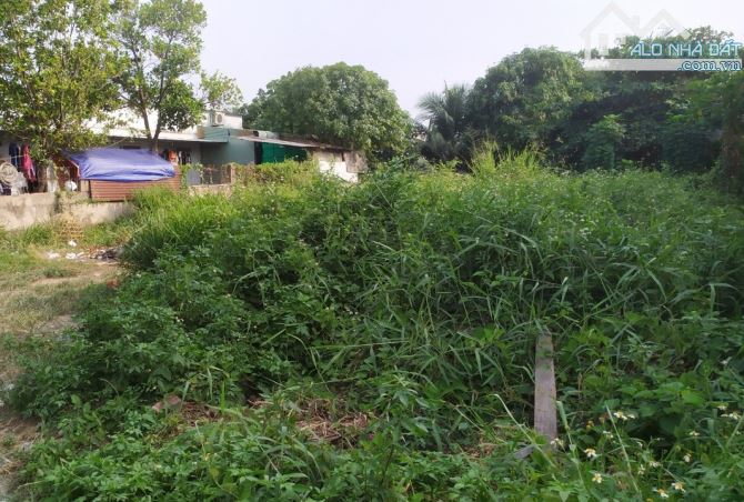 Bán lô đất hẻm xe hơi, gần tòa nhà Fresia Tân Vạn, Biên Hòa, 64m2, giá 1 tỷ 750. - 5