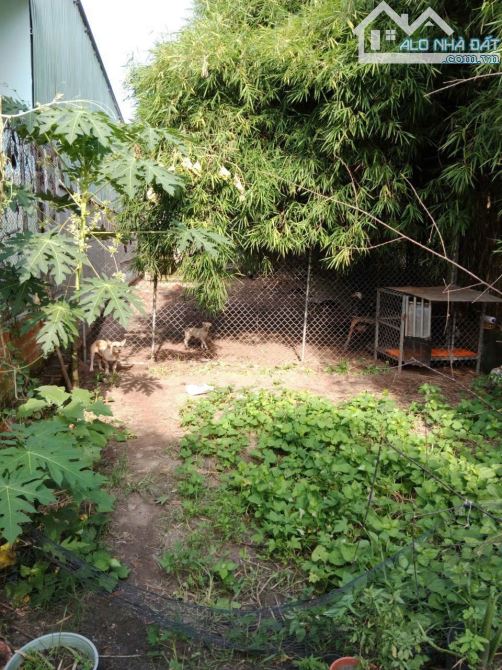 Đất thổ cư bà ký, nằm trung tâm mặt trước sân bay long thành - 5