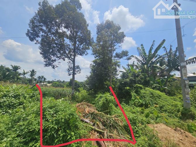 BÁN ĐẤT MẶT TIỀN ĐƯỜNG 18A ĐẠT  LÝ HÒA THUẬN - 6