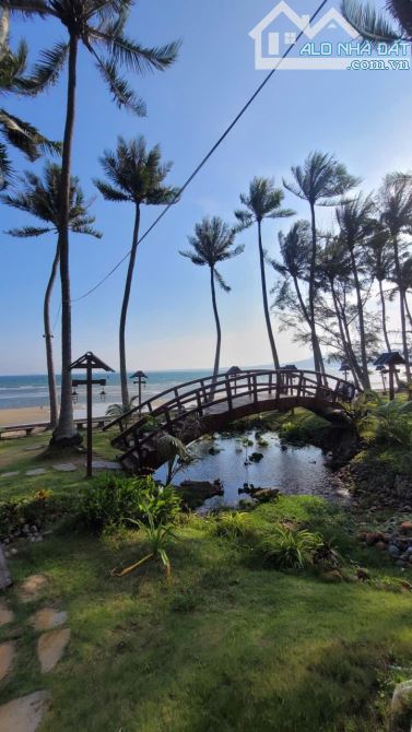 SANG LẠI KHU HOMESTAY CAMPING 8468m2 HÒN RƠM, MŨI NÉ, PHAN THIẾT, LÂM ĐỒNG MỚI. - 6