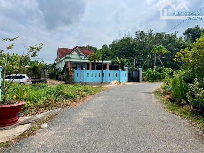 🎁 Kẹt tiền bán gấp 721m2 có 300m2 TC. tại Lai Hưng, Bàu Bàng, Bình Dương. - 7
