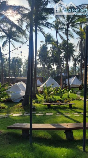SANG LẠI KHU HOMESTAY CAMPING 8468m2 HÒN RƠM, MŨI NÉ, PHAN THIẾT, LÂM ĐỒNG MỚI. - 7
