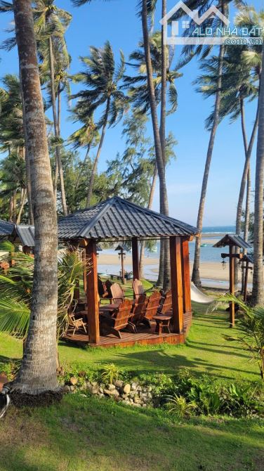 SANG LẠI KHU HOMESTAY CAMPING 8468m2 HÒN RƠM, MŨI NÉ, PHAN THIẾT, LÂM ĐỒNG MỚI. - 8