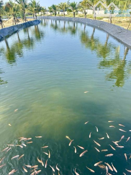🎉🎉Ngay trung tâm biển của Khu đô thị Tam Hoà Cty nối dài của du lịch biển - 9