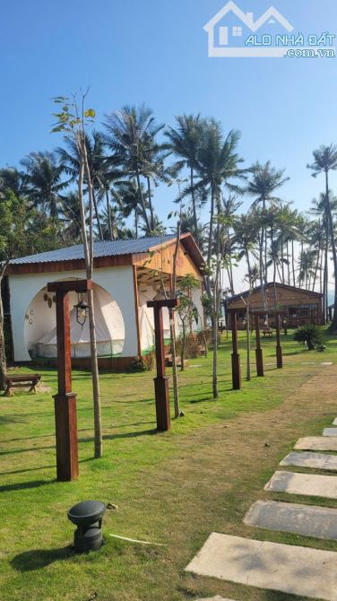 SANG LẠI KHU HOMESTAY CAMPING 8468m2 HÒN RƠM, MŨI NÉ, PHAN THIẾT, LÂM ĐỒNG MỚI. - 9